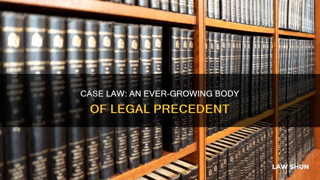 how much case law exists