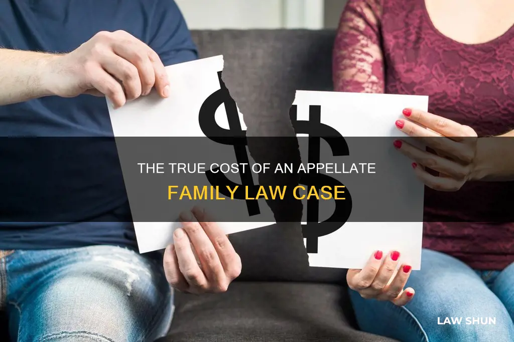 how much cost for appellate family law case