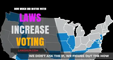Motor Voter Laws: Impact on Voter Turnout and Participation