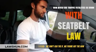 Seatbelt Laws Save Lives: Dramatic Drop in Traffic Fatalities Revealed