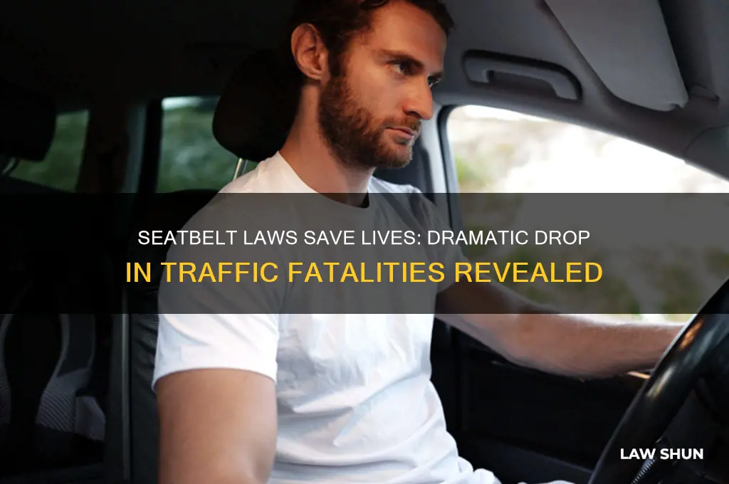 how much did traffic fatalities go down with seatbelt law