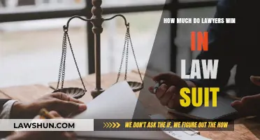 How Much Do Lawyers Win in Lawsuits? Unveiling Legal Success Rates