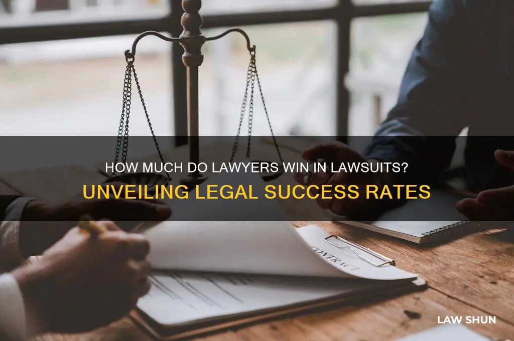 how much do lawyers win in law suit