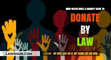 Legal Donation Requirements: What Charities Must Give by Law