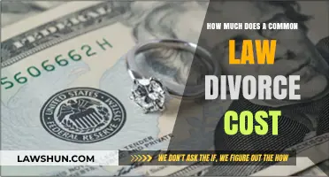 Common-Law Divorce: Understanding the Financial Cost