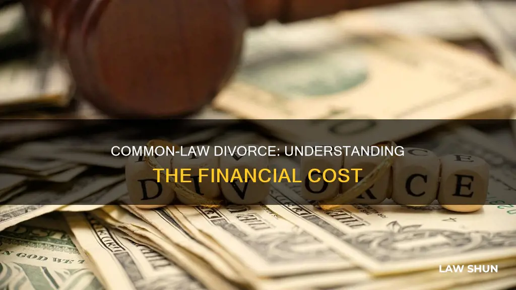 how much does a common law divorce cost