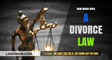 Understanding the Financial Impact of Divorce: A Comprehensive Guide
