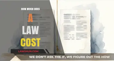 Understanding Legal Expenses: A Breakdown of Law Costs