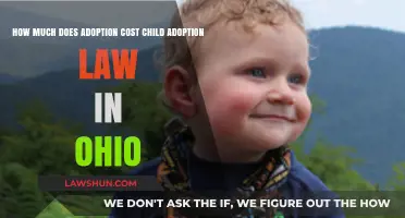 Ohio Adoption Costs: Understanding Legal Fees and Child Adoption Laws