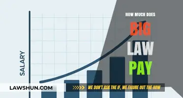 Decoding Big Law Salaries: What to Expect in the Legal Field