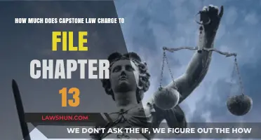 Capstone Law Chapter 13 Filing Fees: What to Expect