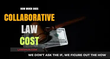 Understanding Collaborative Law Costs: A Comprehensive Guide
