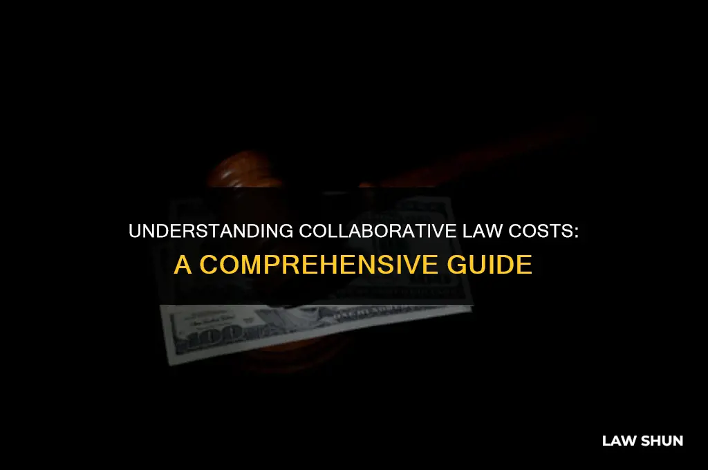 how much does collaborative law cost
