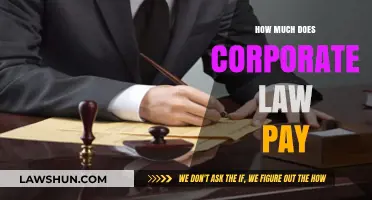 Lucrative Careers in Corporate Law: Unveiling the Salary Potential