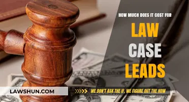 The Cost of Law Case Leads: What's the Price?