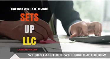 Lawyer Fees for LLC Setup: Understanding the Costs Involved