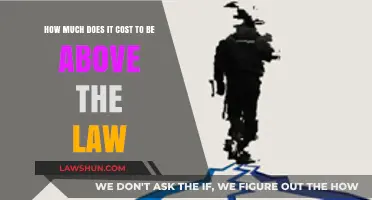 The Price of Impunity: How Much Does Being Above the Law Cost?