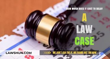 The High Cost of Delaying Justice