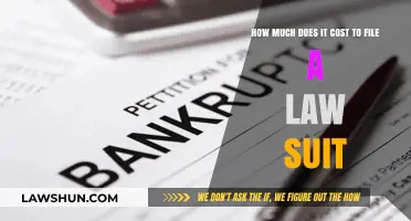 Understanding the Financial Burden: Costs of Filing a Lawsuit Explained