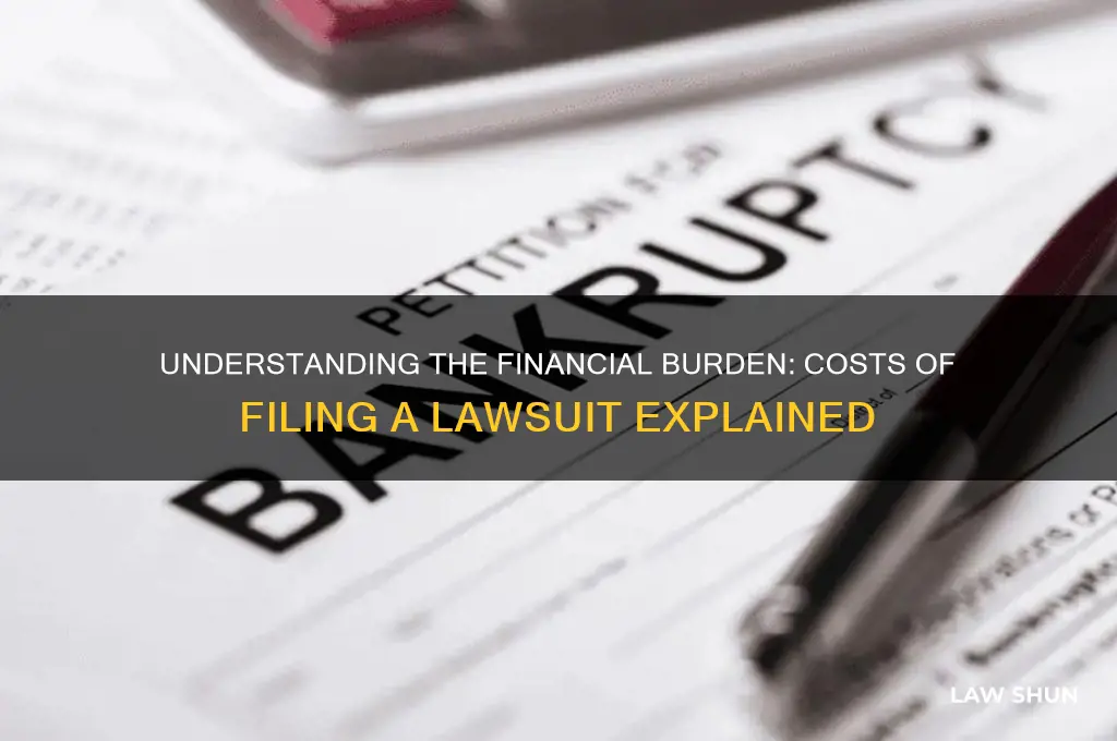 how much does it cost to file a law suit