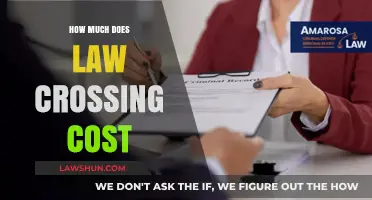 The Price of Justice: Understanding the Costs of Legal Representation
