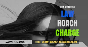 Decoding the Cost: How Much Does Roach Law Charge?