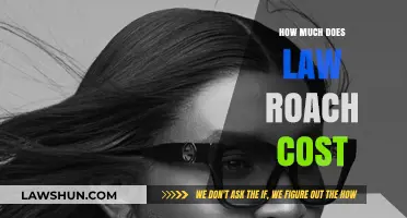 Understanding the Financial Aspects of Law Roach: A Comprehensive Guide