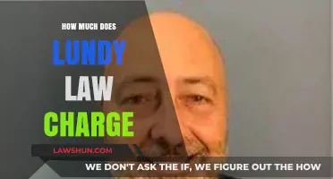Understanding Lundy Law's Fee Structure: A Comprehensive Guide