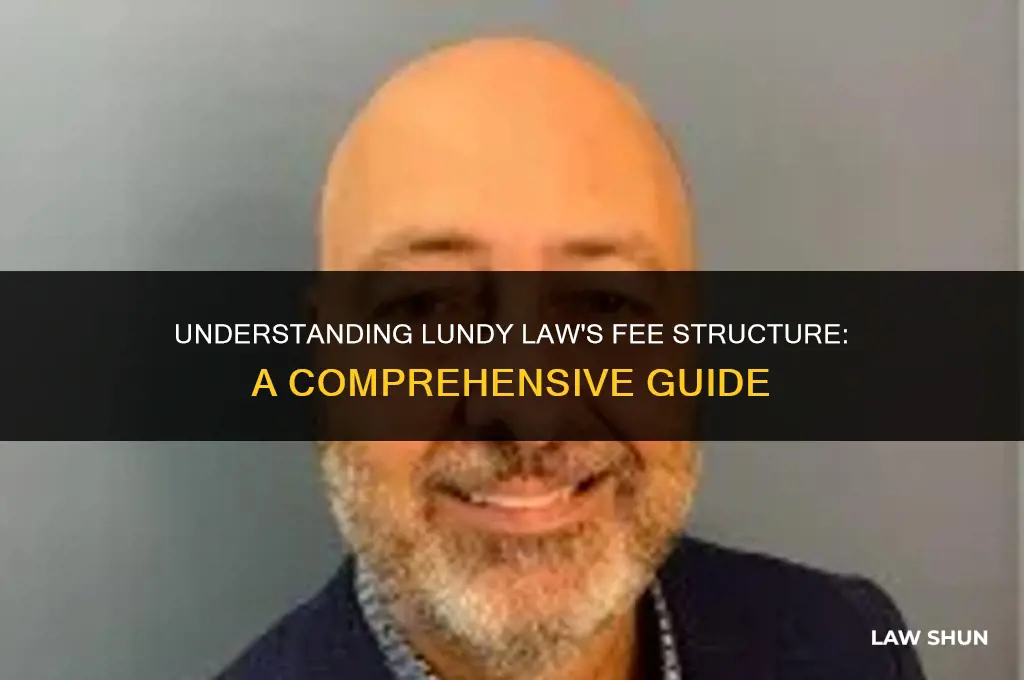how much does lundy law charge