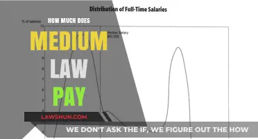 Exploring the Lucrative World of Medium Law: Salaries and Career Insights