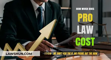 Understanding the Financial Commitment: A Guide to Pro Law Costs