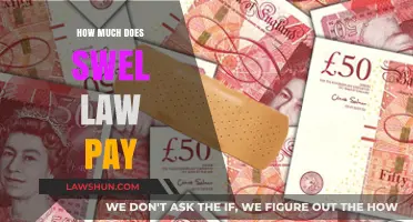 Unveiling the Lucrative World of Swel Law: Salaries and Compensation