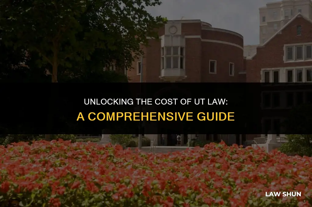how much does ut law cost