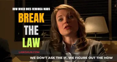 Veronica Mars: Teen Detective, Lawbreaker?