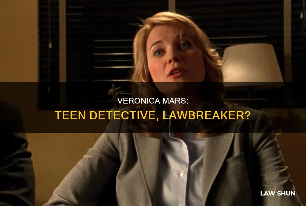 how much does veronica mars break the law