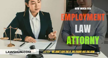 Navigating Employment Law: Understanding Attorney Costs and Services