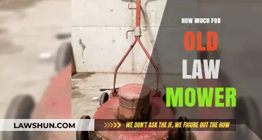 Vintage Lawnmower Valuation: How Much Is Your Old Lawnmower Worth?