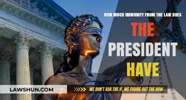 Presidential Immunity: Exploring Legal Protections and Limits for U.S. Commanders-in-Chief