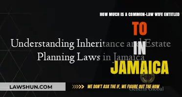 Understanding Common-Law Wife Entitlements in Jamaica