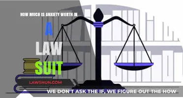 Valuing Anxiety Claims: Legal Compensation Insights for Emotional Distress