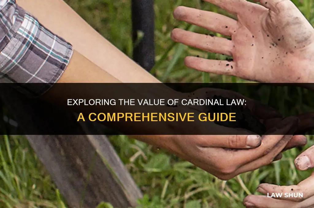 how much is cardinal law worth
