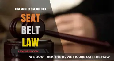 Ohio Seat Belt Law Fine: Understanding Penalties for Non-Compliance
