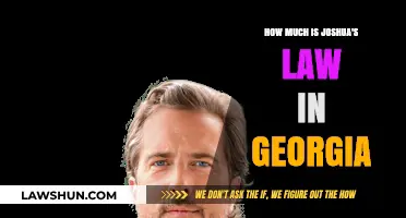 Understanding Joshua's Law Costs and Requirements in Georgia