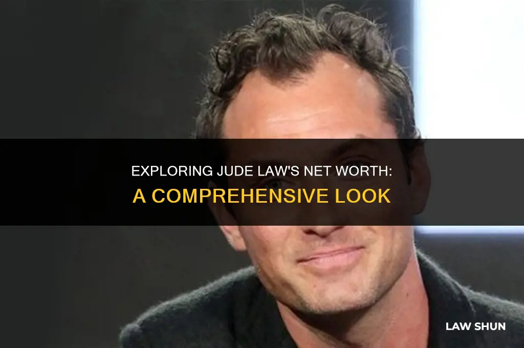 how much is jude law worth