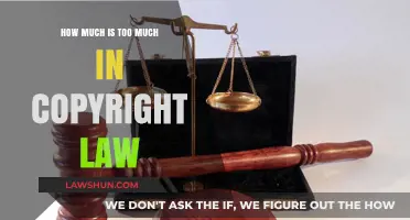 Balancing Creativity and Control: Defining Excess in Copyright Law