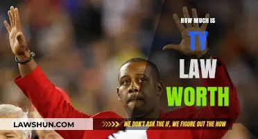 Exploring Ty Law's Net Worth: A Comprehensive Financial Overview