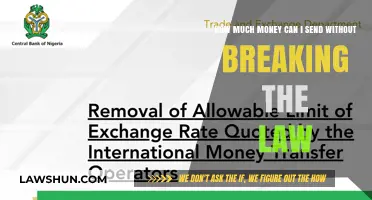 Sending Money Legally: How Much Can You Transfer?