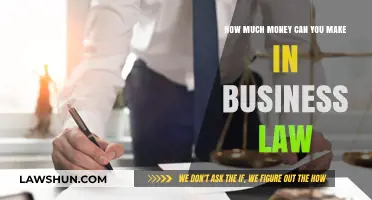 Lucrative Careers in Business Law: Salary Expectations