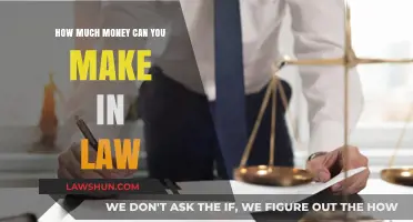 Lucrative Legal Careers: Salary Expectations