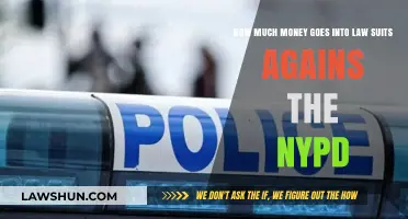 Unveiling the Financial Cost of Lawsuits Against the NYPD